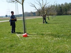 Baumpflegeaktion  2010 21